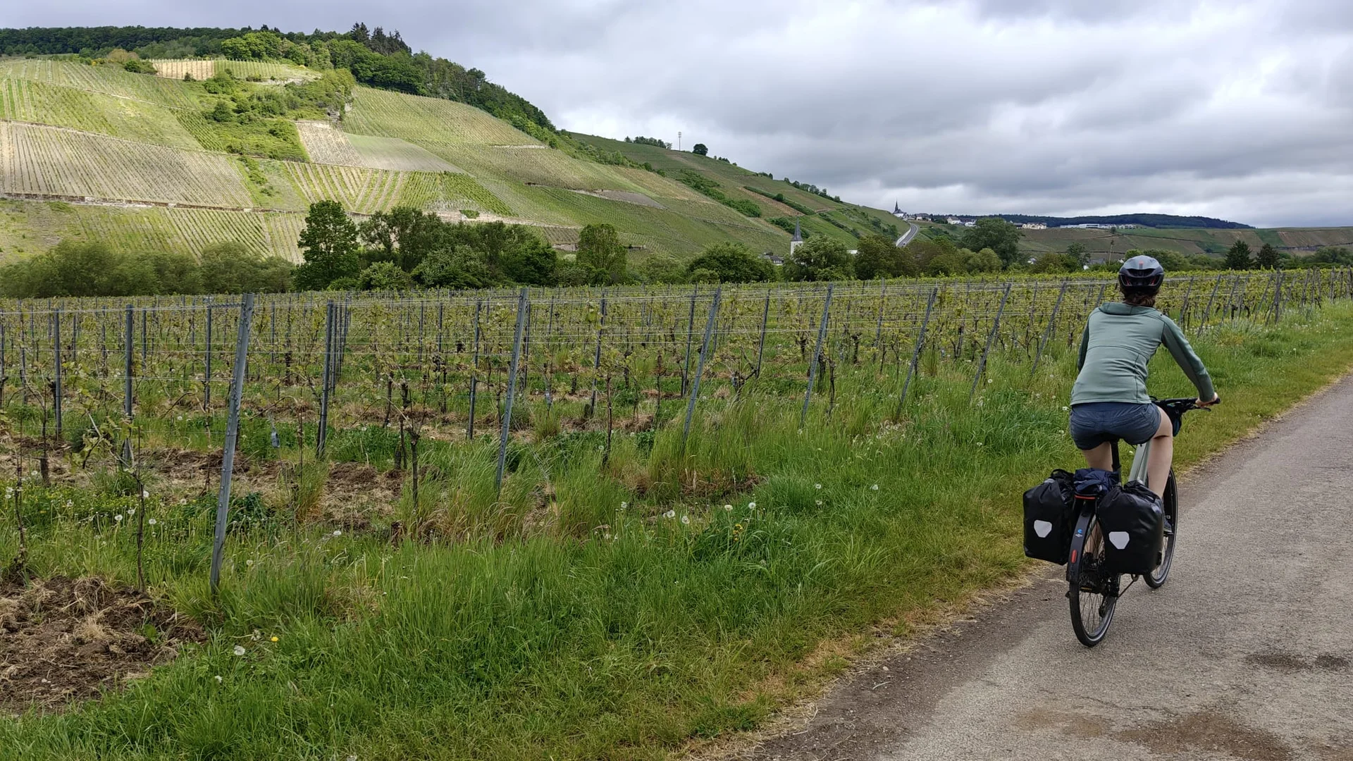 vineyards